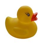 Rubber Toy Duck